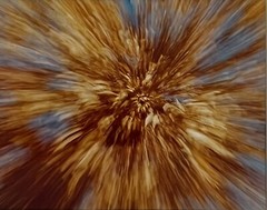 Photograph of Autumn Leaves Titled «Leave Explosion» Matted & Framed 15″x18″
