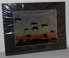 Sandhill Cranes Wildlife Photo 8″ x 10″ in 11″ x 14″ Matte Signed by Kim Barry