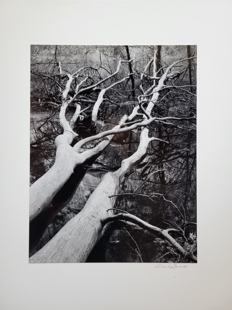 Richard Garrod, black and white photography, friend of Brett Weston