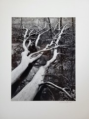 Richard Garrod, black and white photography, friend of Brett Weston