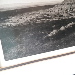 Mittens & Thundercloud by Anthony Beckesh 20 x 23 1/2″ B&W Photograph (READ)