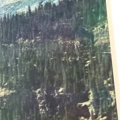 Lot Of 2 1960’s Don Harmon Signed ‘Lake Louise’ Photograph Large 21”x16”