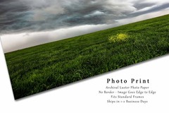 Storm Photography Print – Yellow Wildflowers in Green Field in Texas Photo