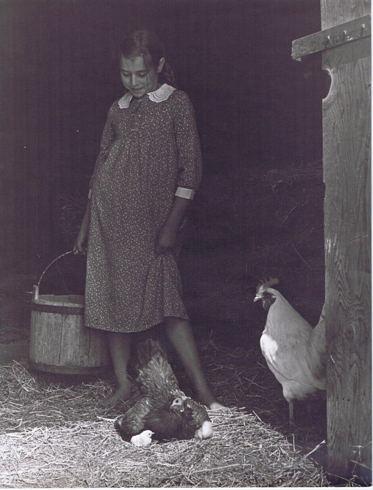 Hendrickson Original Photo B&W LITTLE GIRL & CUTE CHICKENS Farmyard Scene 10×13″