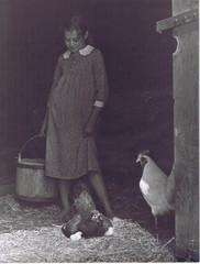 Hendrickson Original Photo B&W LITTLE GIRL & CUTE CHICKENS Farmyard Scene 10×13″