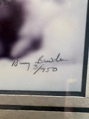 Harry Bowden Signed & Numbered 3/750 Photograph «A Face in the Foliage» Cougar