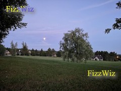 Summer Night Art Digital Image Picture Photo Wallpaper – Instant Delivery..