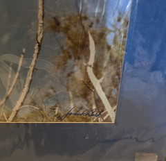 » Osprey » 8×10 Signed / Autographed By Photographer John Bird, Matted RTF