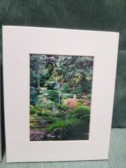 New Lot of 3 Matted 5×7 Photo Fine Art Print Water Lake Front House Landscape