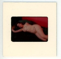 Org Camera Club Nude 60s 35mm Slide Negative- Butt- Endowed Brunette- Woman #25