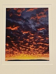 Grand Canyon Photo On Metal Signed Shane Knight