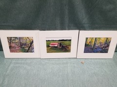 New Lot of 3 Matted 5×7 Photo Fine Art Print Forest Truck Outdoor Landscape