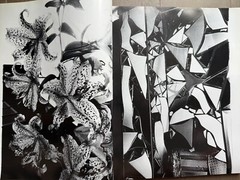 🎈Super RARE! Daido Moriyama – Hysteric 4, 1993, Original First Limited Edition