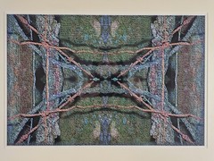 ART – Original Christine Thomas Abstract Photograph 25×19 Framed 35mm Modern Art