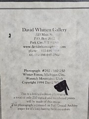 Signed David Whitten Limited Edition 35mm Photograph Print 17.5×14.75 Framed Art
