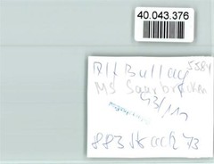 40043376 – 5584 Bullay MS Saarbruecken