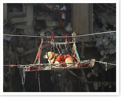 World Trade Center 9/11 Rescue Dog In Transport Silver Halide Photo – Ver 2