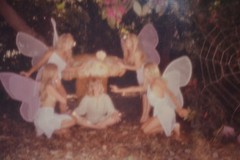 Original ALAN HOUGHTON fine art Photography butterlfys near a spider web 15 X 20