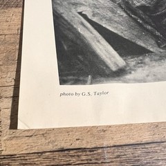 G.s Taylor Apache Woman Grinding Corn Print