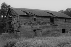 Old Barn Photo, Pick One Image – Various Sizes