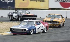 1971 AMC Javelin Trans-AM at Sonoma Vintage Classic Race Car Photo CA-1270