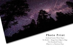 Night Sky Photography Print – Picture of Starry Sky Above Trees in Colorado