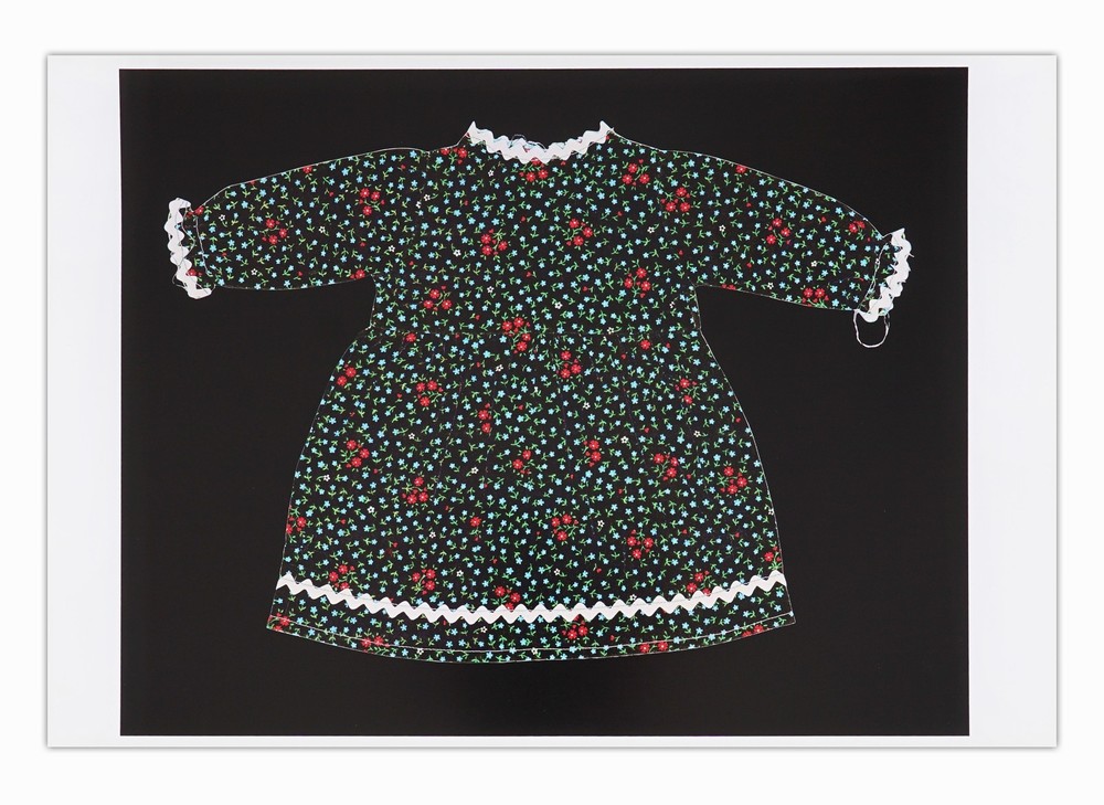 Karen Savage Photogram of Dress Vintage Photograph Fine Art Original Color Green