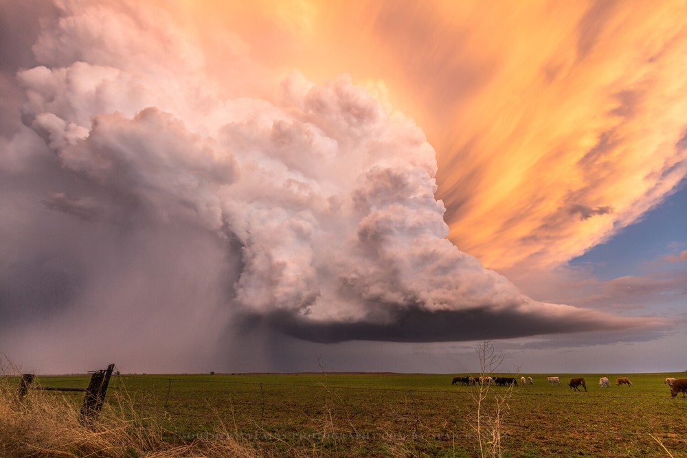 Storm Photography Print – Supercell Thunderstorm Over Field at Sunset in Kansas