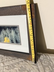 David C. Schultz Signed Limited Edition Numbered 14/250 Trees Landscape Photo
