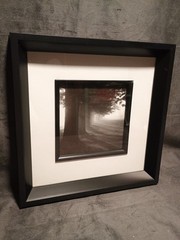 2 Modern Black & White Photography Trees Minimalist Moody 11.25 » Square Frames