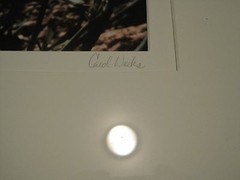 Carol Weeks Floral LE 3/150 Framed and Matted Photograph 22×18″