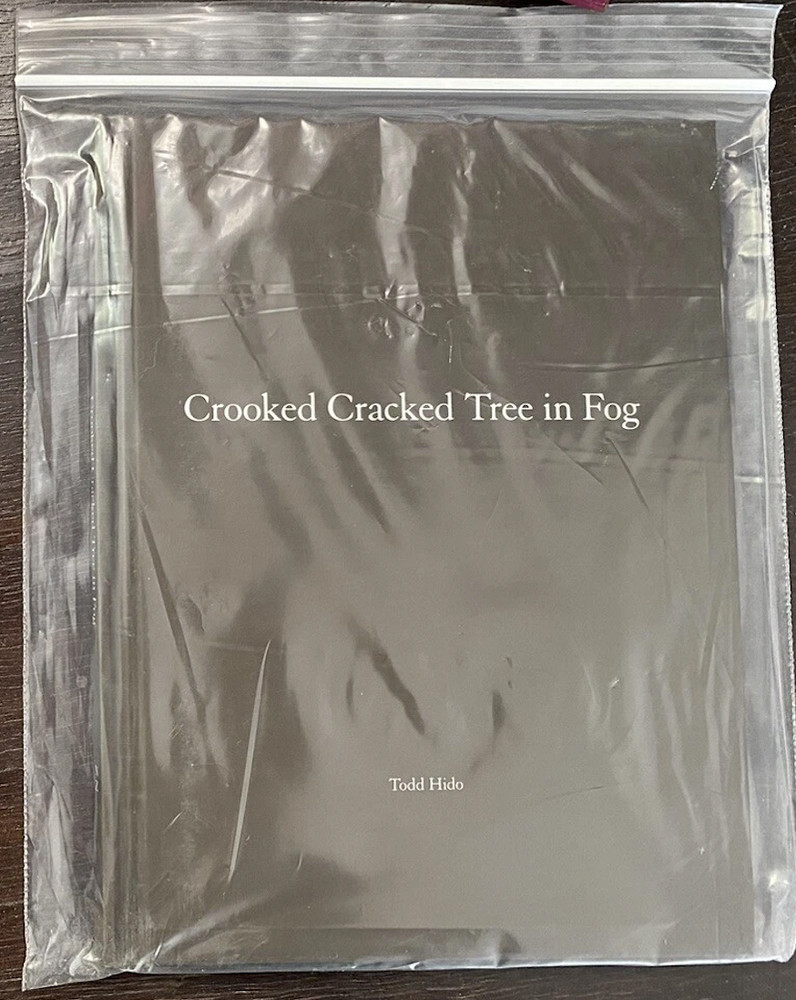 TODD HIDO Nazraeli One Picture Book 60 Crooked Cracked Tree