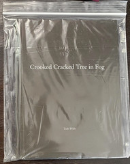 TODD HIDO Nazraeli One Picture Book 60 Crooked Cracked Tree