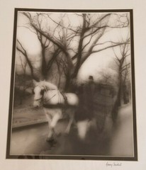 Garry Seidel Signed Photograph «Horse and Carriage» Gelatin Process 11″ x 14″