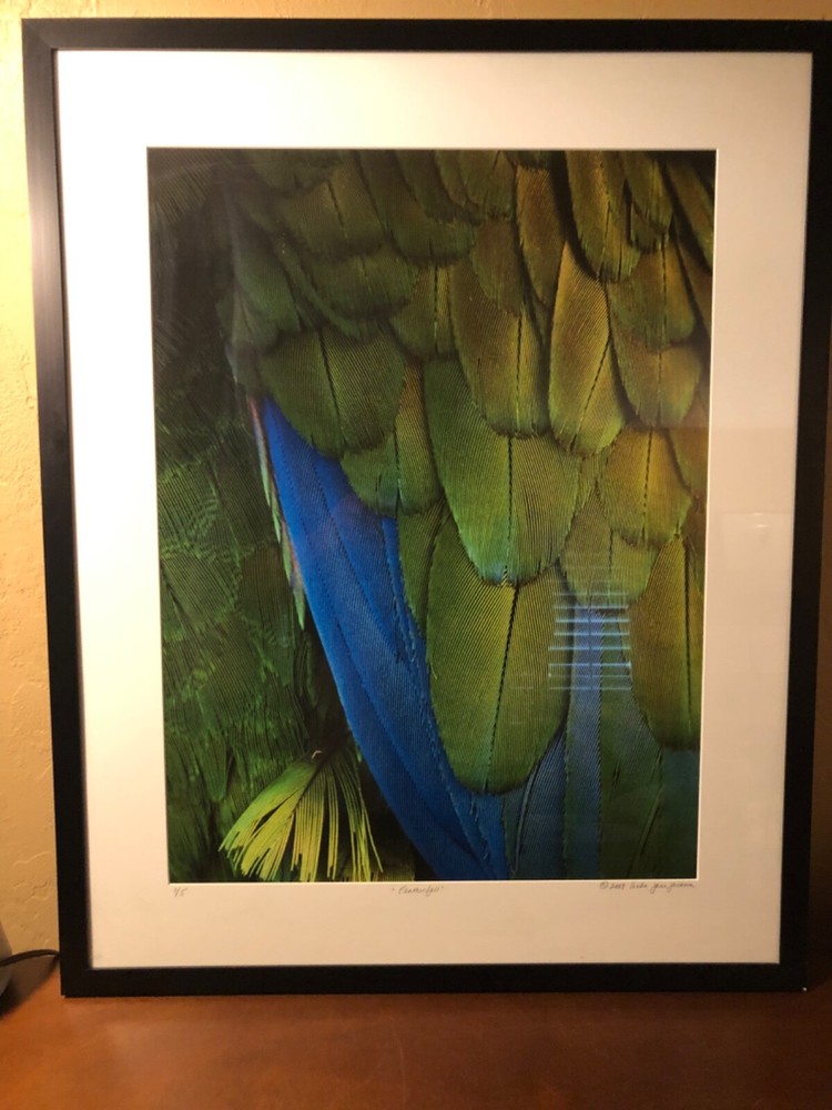 Art Photography Macro Large Digital Format Linda Jane Limited Mat/Framed Stellar
