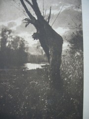 Heinrich Kühn (1866-1944) Autumn Evening on the Moor Photogravure 1897