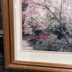 Cherry Blossom Photo Limited Edition # 4/89 Hand Signed Framed 16 1/2”x 13 1/2