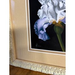A. Bush Purple Irises Floral Art Print Photography Framed 15.5″ EUC GIFT Decor