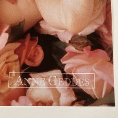 Ann Geddes, “Cheesecake ”Baby surrounded by Flowers Original Poster #8254
