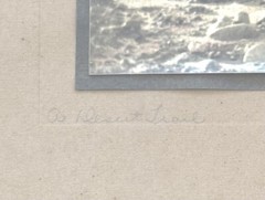 Lg VTG J.M. Garrison Hand Tinted Oil Color Photo Palm Canyon 15.5”x21.5” VGC