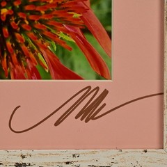 MICHAEL RAY Original Vintage Signed Long Island NY Floral Still Life Photograph