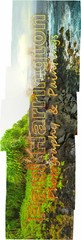 Hawaii Puna Coast Kapoha Beach Road Kilauea Volcano Paul Harrington