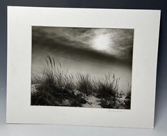 Vintage Photograph ‘On the Dunes’ Scarborough Matted Picture Beach Maritime