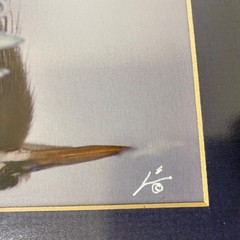 James Stamates 92 • Framed Art Photo • Reflection of Nature • Great Blue Heron