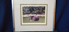 Bill Coleman Amish Art