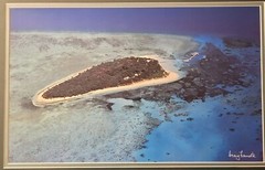 Framed Aerial Island Ocean Print Craig Lamotte Great Barrier Reef Coastal Art