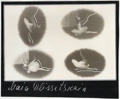 30x20cm Orig Barite Photo Petra Bober 1984 Maja Plissezkaya SIGNED Ballet Dance