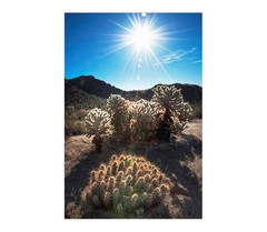 Framed Art Photograph of Southwestern USA Desert Landscape with Sunrise