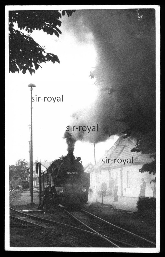 NWE No. 21 Narrow Gauge Steam Locomotive 99 6001 GDR Railway Photo Postcard 8x13cm