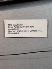 Michael A Smith Photography Signed Shore Acres #6 Oregon 1979 8×20 Print + Frame